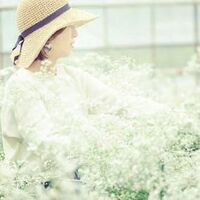 画像483