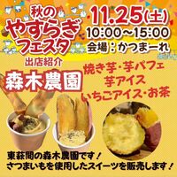 画像485