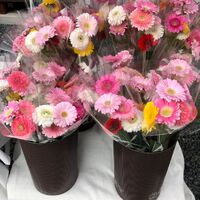 画像503