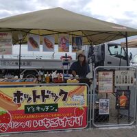 画像518