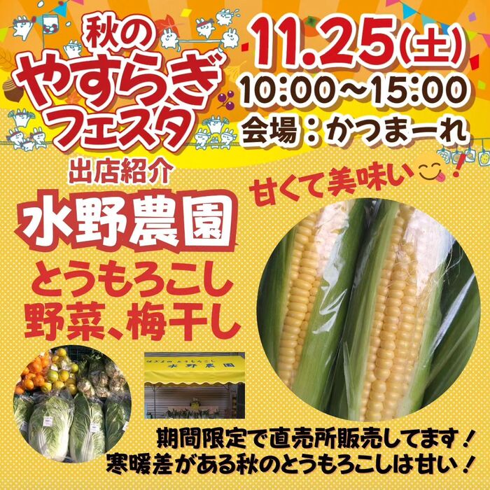 画像525