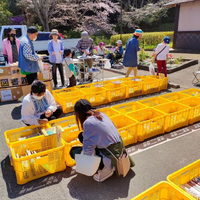 画像589