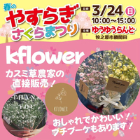 画像618